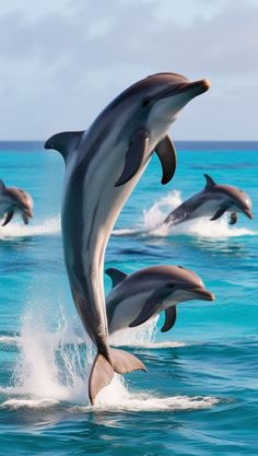 three dolphins are jumping out of the water