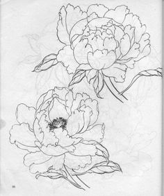 a black and white drawing of two flowers