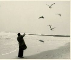 a man standing on top of a beach next to the ocean with seagulls flying over him