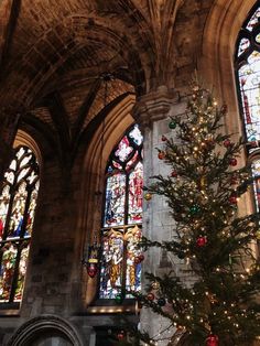 a decorated christmas tree in front of stained glass windows