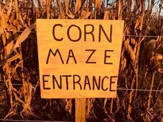 a corn maze entrance sign is posted in front of a fenced in area with tall stalks of corn