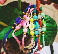 a bunch of bracelets sitting on top of a green leaf next to a plant