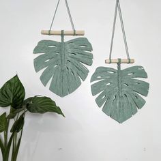 two wall hangings made out of green leafy leaves on a white wall next to a potted plant