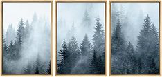 three framed pictures with trees in the fog