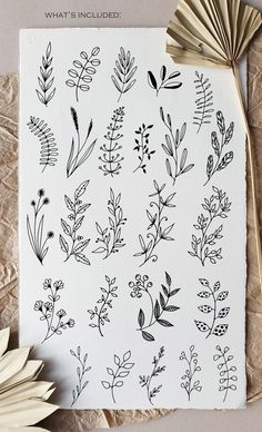 an image of flowers and leaves drawn on paper with the words, what's included?