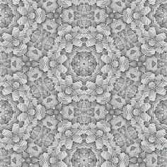 a black and white photo of an abstract pattern with leaves in the center, on a gray background