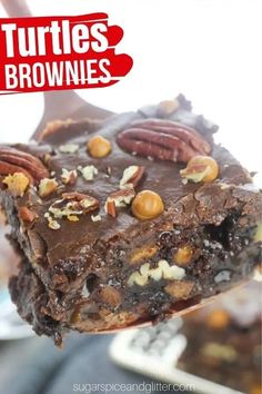 there is a piece of brownie with nuts on it and the title reads turtles brownies