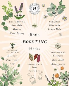 an illustrated poster with the words,'brain boostering herbs '