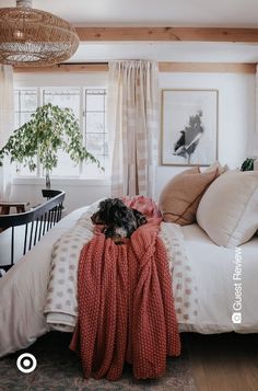 a dog laying on top of a bed in a room with wooden floors and white walls