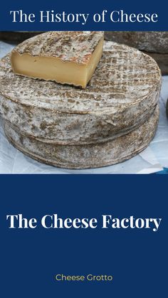 the cheese factory by cheesy grottoo book cover with blue background and text