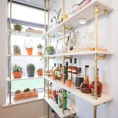 the shelves are filled with bottles and plants