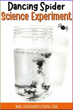 a jar filled with water and bugs on top of it, with the words dancing spider science experiment