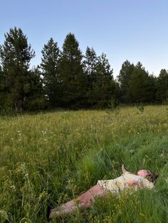 a person laying in the middle of a field with tall grass and trees behind them