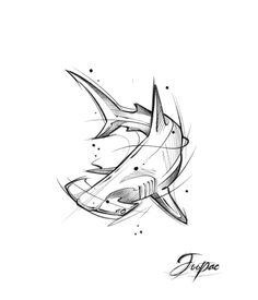 a drawing of a shark with lines on it's face and the words, deep dive