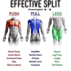 the different types of muscles are shown in this diagram, which shows how each muscle works