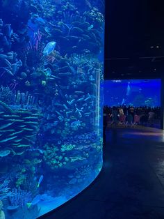 a large aquarium filled with lots of different types of fish and people looking at it