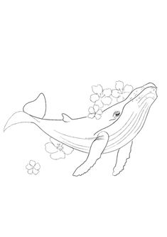 a drawing of a whale with flowers in its mouth