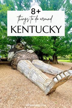 a wooden bench with text overlay that says 8 things to do around kentucky