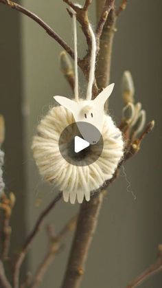 an ornament hanging from a tree branch