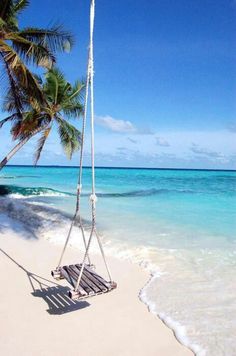 a hammock hanging from a palm tree on the beach