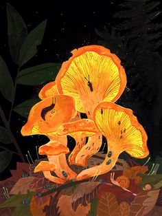 a painting of yellow mushrooms growing in the ground with leaves around them on a black background