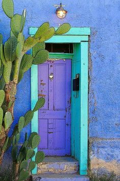 a cactus next to a purple door in front of a blue wall with a light on