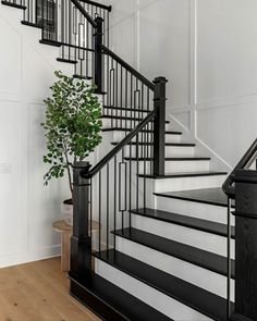 a black and white staircase with a potted plant next to it on the floor