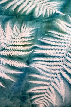 some white leaves on a blue background