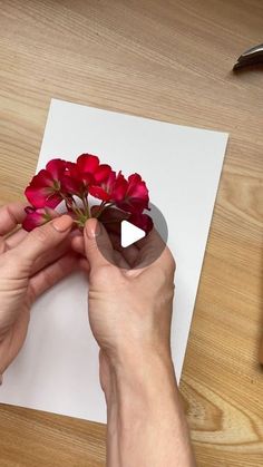 a person is arranging red flowers on a piece of paper