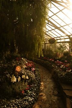 the inside of a greenhouse with lots of flowers