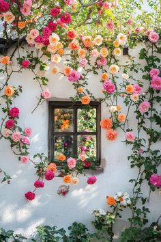 an old window surrounded by climbing roses on the side of a white stucco building with green foliage