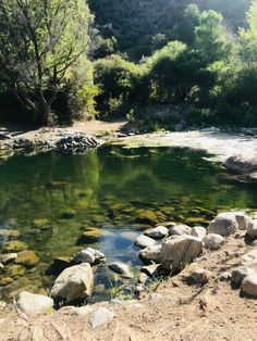 a river with rocks and water surrounded by trees