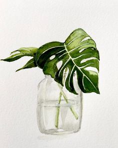 a watercolor painting of a plant in a glass vase on a white wall background