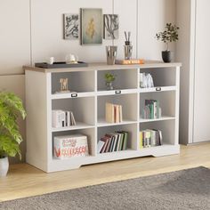 a living room with a book shelf and potted plant on the floor next to it