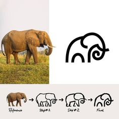 an elephant is standing in the grass with other elephants