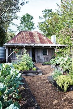 a garden with lots of different plants in front of a small wooden building and trees