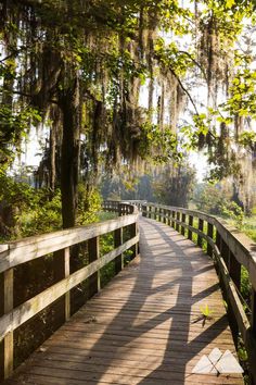 a wooden bridge with trees and moss growing on the sides, leading to a grassy area