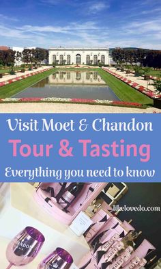 Picture of Moët et Chandon house in Epernay and Moët pink rose champagne bottles Champagne Paris, Moet And Chandon, Epernay France, Krug Champagne, Moet Chandon Champagne, Champagne France, Best Champagne, Champagne Region, Houses In France