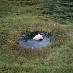 a white object floating in the middle of a body of water with grass around it