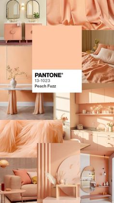 Qual è il colore Pantone 2024? Secondo Pantone il 13-1024 Peach Fuzz è il colore dell'anno 2024. Il colore Pantone 2024 è chiamato Peach Fuzz 13-1024, una tonalità pesca perfetta per l'interior design, scoprilo in questa color palette mood board peach fuzz :) Pantone color of the year 2024 peach fuzz 🍑 Pantone 13-1023 Peach Fuzz, Peach Fuzz Bedroom, Interior Design Palette Mood Boards, Peach Palette Color, Peach Room Aesthetic, Peach Fuzz Aesthetic, Pantone Peach Fuzz, Peach Fuzz Color, Peach Fuzz Color Palette