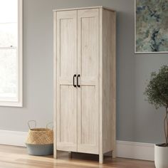 a tall wooden cabinet sitting next to a potted plant in a room with gray walls