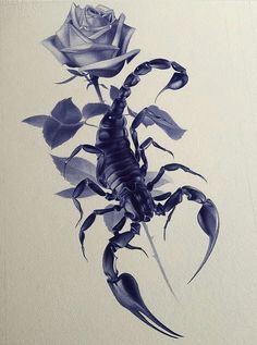 a drawing of a scorpion and a rose