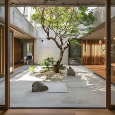 an indoor courtyard with trees and rocks on the ground