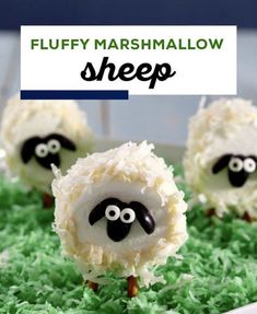 three sheep made out of marshmallows sitting on top of green grass with the words fluffy marshmallow sheep