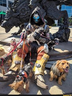 a man dressed up as darth vader and his dogs