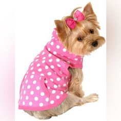 a small dog wearing a pink and white polka dot shirt