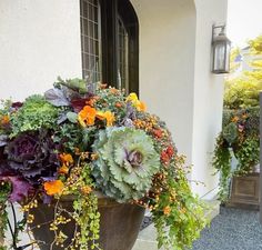 a potted planter filled with lots of colorful flowers sitting on the side of a building