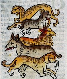 three dogs are depicted in this medieval style drawing, with different colors and patterns on the dog's body