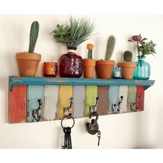 there are many potted plants on the shelf above the key holder and keys in front of them