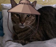 a cat laying on top of a bed with a lamp on it's head